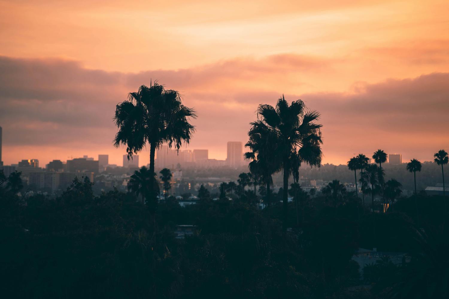 Cost of electricity in Los Angeles: How to save money with LADWP