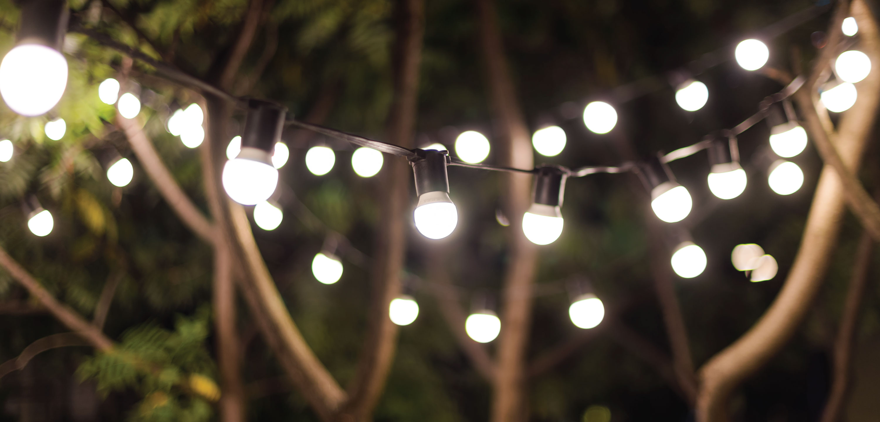 The 5 Best Solar String Lights Reviewed [2026]