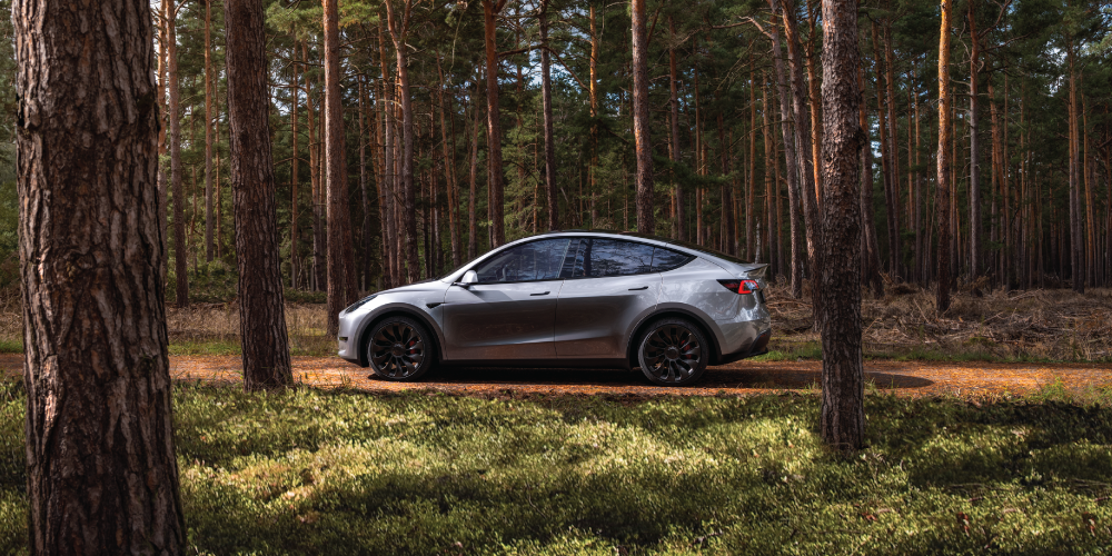Top 7 Best Tesla Alternatives in 2025